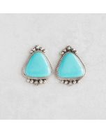 Tyrone Turquoise Earrings FJE2610
