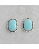 Tyrone Turquoise Earrings FJE2267