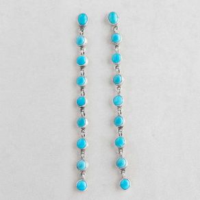 Kingman Turquoise Dangle Earrings FJE2905