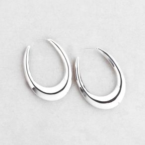 Sterling Silver Earrings FJE2521