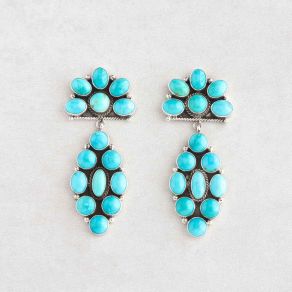 Sonoran Mountain Cluster Earrings FJE2578