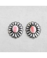 Sterling Silver Pink Conch Shell Earrings FJE2157