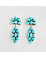 Sonoran Mountain Cluster Earrings FJE2578