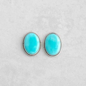 Campitos Turquoise Earrings FJE2794