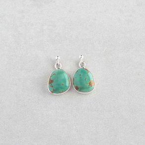 Tyrone Turquoise Earrings FJE2903