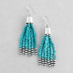Campitos Turquoise Earrings FJE2816