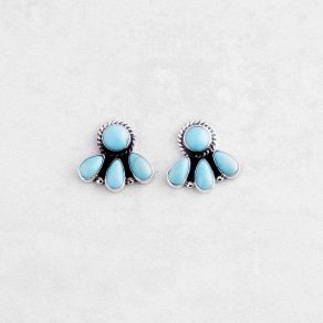 Campitos Turquoise Post Earrings FJE2957