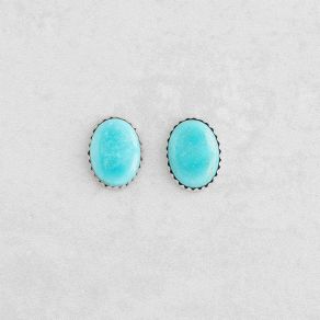 Tyrone Turquoise Post Earrings FJE2688