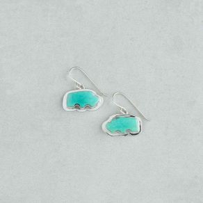 Campitos Turquoise Buffalo Earrings FJE2108