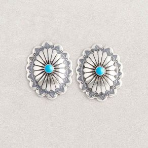Sterling Silver Sonoran Turquoise Post Earrings FJE1967
