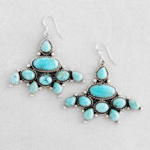 Campitos Turquoise Earrings FJE2865