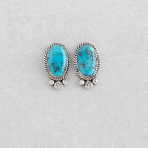 Sterling Silver Prince Turquoise Earrings FJE2740
