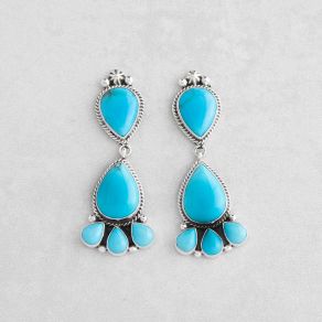 Prince Turquoise Earrings FJE2877