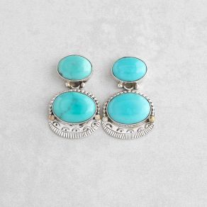 Campitos Turquoise Earrings FJE2895