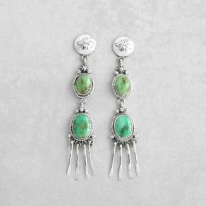 Sonoran Gold Turquoise Earrings FJE2790