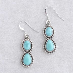 Campitos Turquoise Earrings FJE1956