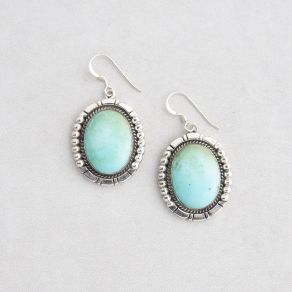 Navajo Handmade Campitos Turquoise Earrings FJE2146