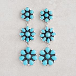 Sonoran Beauty Cluster Earrings FJE2396