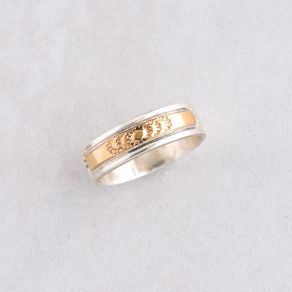 Sterling Silver and Gold Ring FJR2391