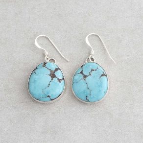 Prince Turquoise Hook Earrings FJE2245